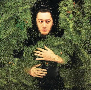 Alain Bashung