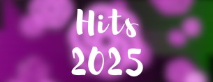 Hits 2025